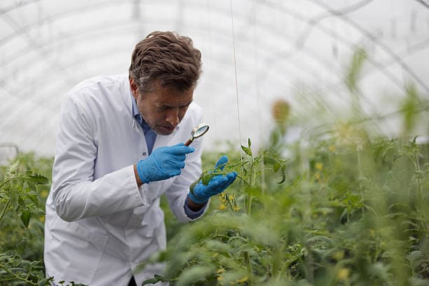 UN Fertilizer Food Security Update June 2026: Supply Risks Moderate
