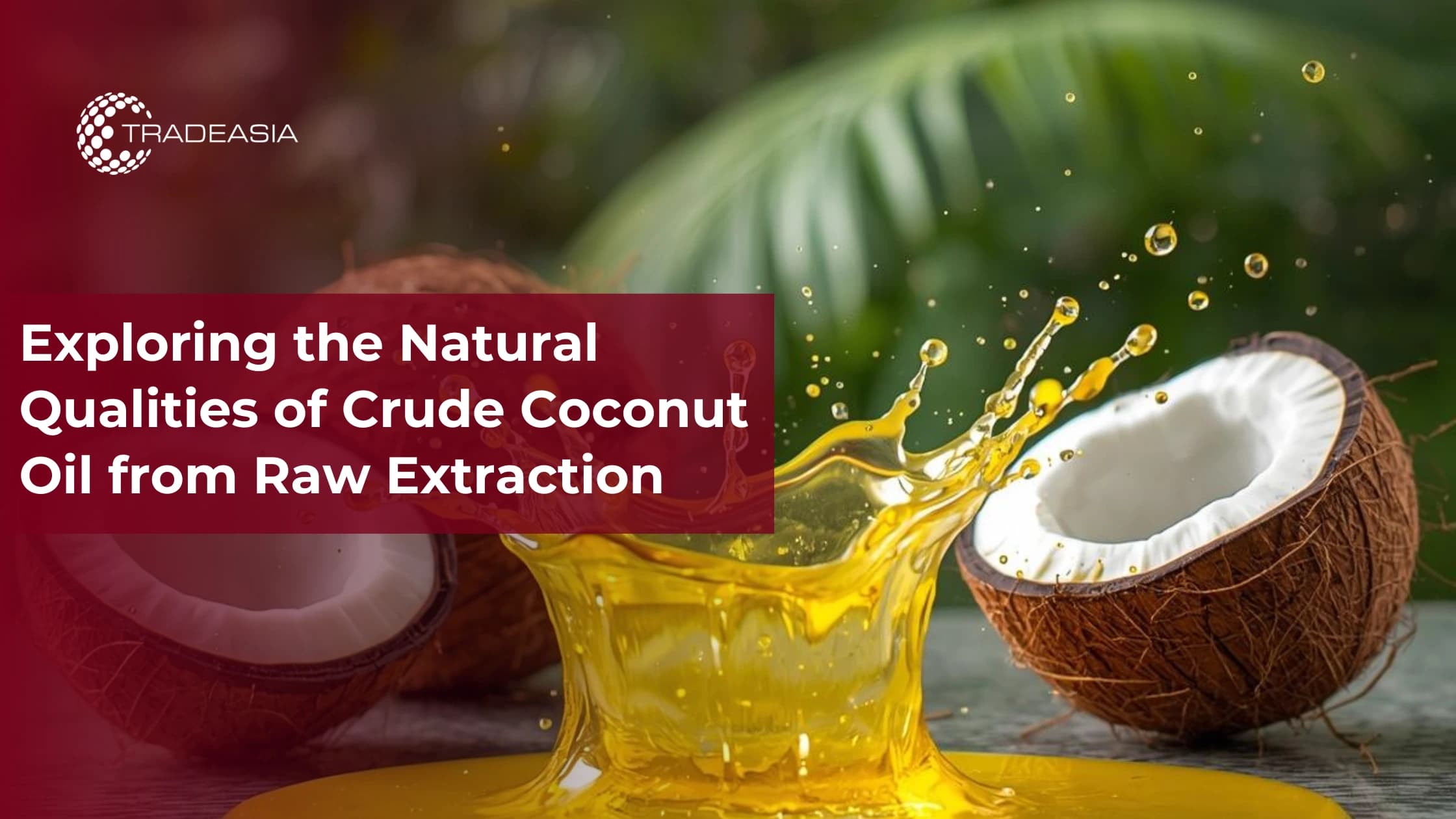 Exploring the Natural Qualities of Crude Coconut Oil from Raw Extraction