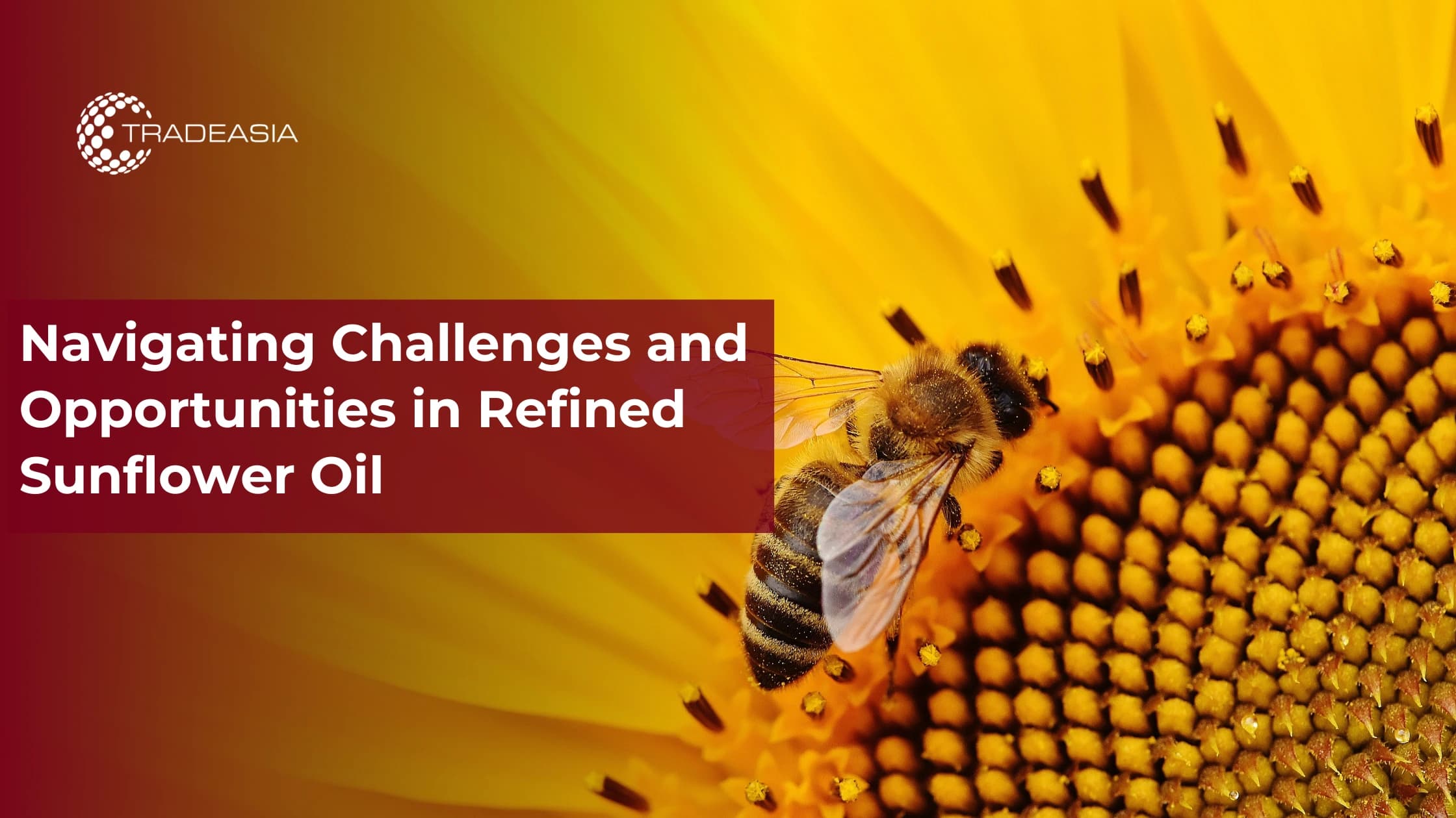 Navigating Challenges and Opportunities in Refined Sunflower Oil