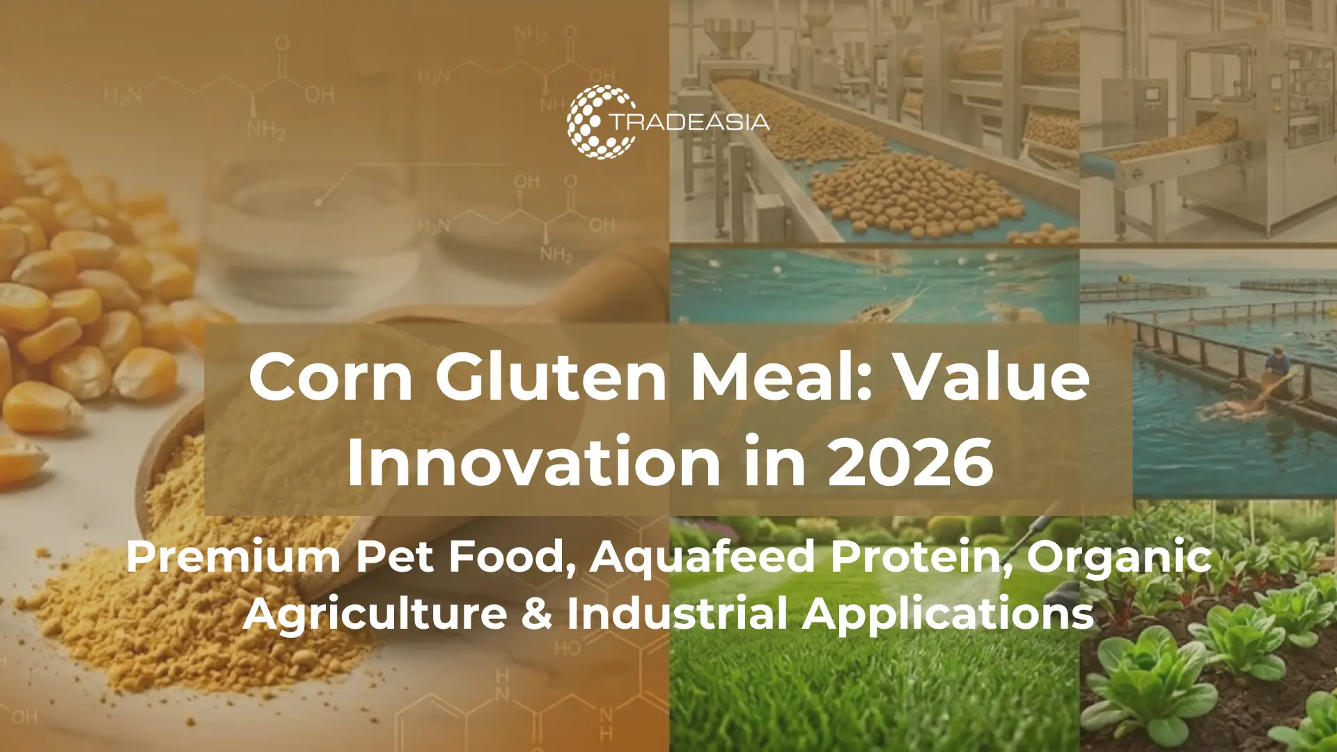 Por qué la harina de gluten de maíz está ganando valor en los alimentos para mascotas y piensos acuícolas en 2026