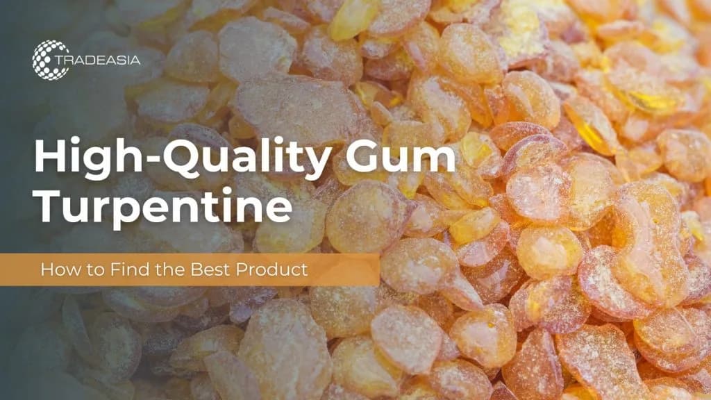 High-Quality Gum Turpentine: How to Find the Best Product