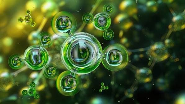 Green Ammonia: The 60-Day MoU Clock and What It Means for Gulf Green Project Timelines