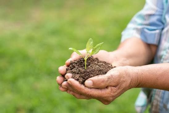 Nitrogen Fertilizer Chemistry: Understanding the Differences Between Urea, AN, UAN, and Ammonia