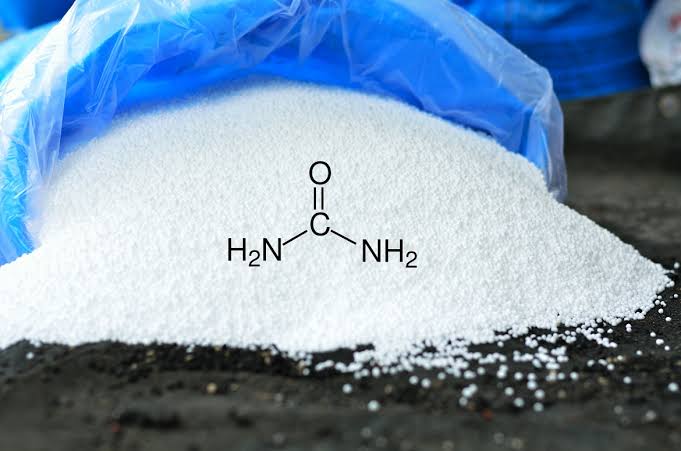 Potassium Fertilizer Forms: MOP, SOP, and Langbeinite—When Chloride Matters