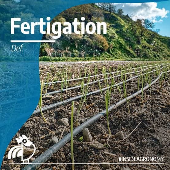 Irrigation Water Quality and Fertilizer Compatibility: A Practical Guide