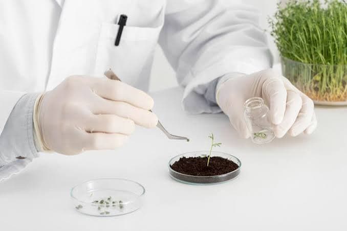 Fertilizer Regulatory Compliance: Import Licensing, Quality Standards, and Country-Specific Requirements