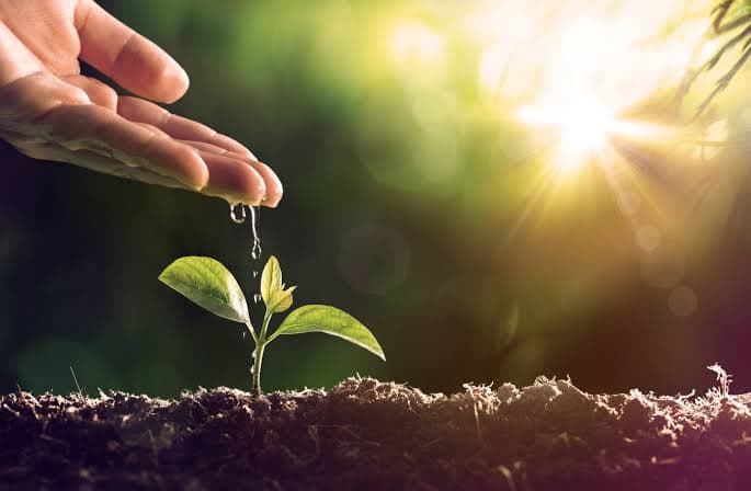 Agrochemical Procurement Intelligence: Thursday, July 9, 2026