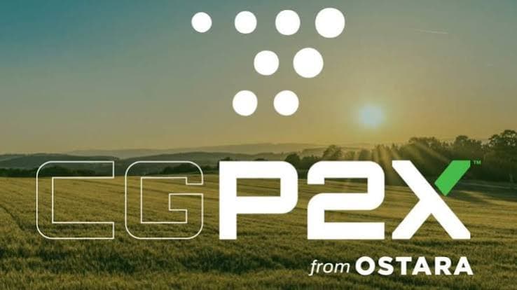 Ostara's CG P2X Fertilizer Gains Conservation Classification: A Win for Enhanced Efficiency Products