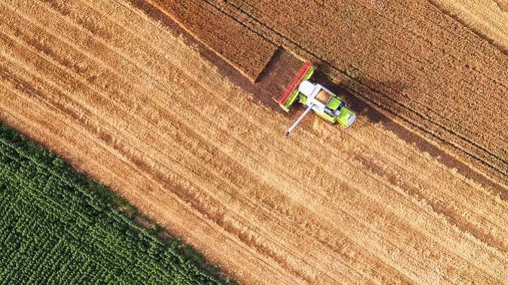 Wheat and Corn Futures History Signals What Renewed Tension Could Do to Fertilizer Demand