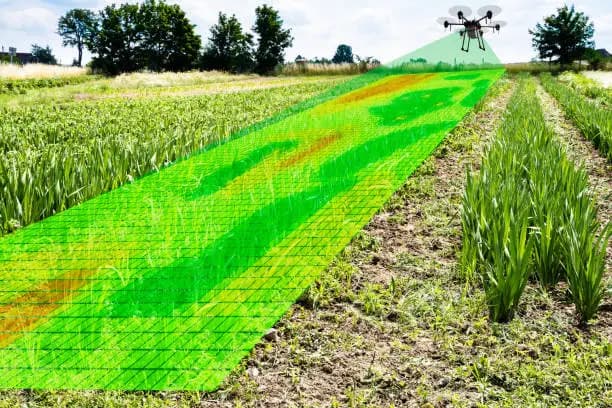 Mosaic Points to Improving Fertilizer Affordability as a Long-Term Tailwind