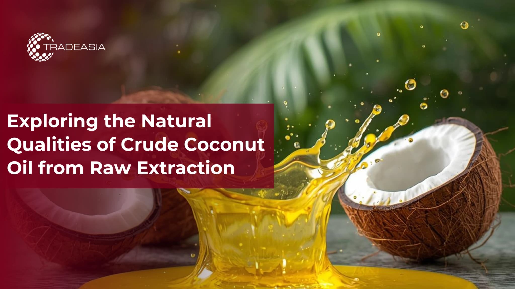 Exploring the Natural Qualities of Crude Coconut Oil from Raw Extraction