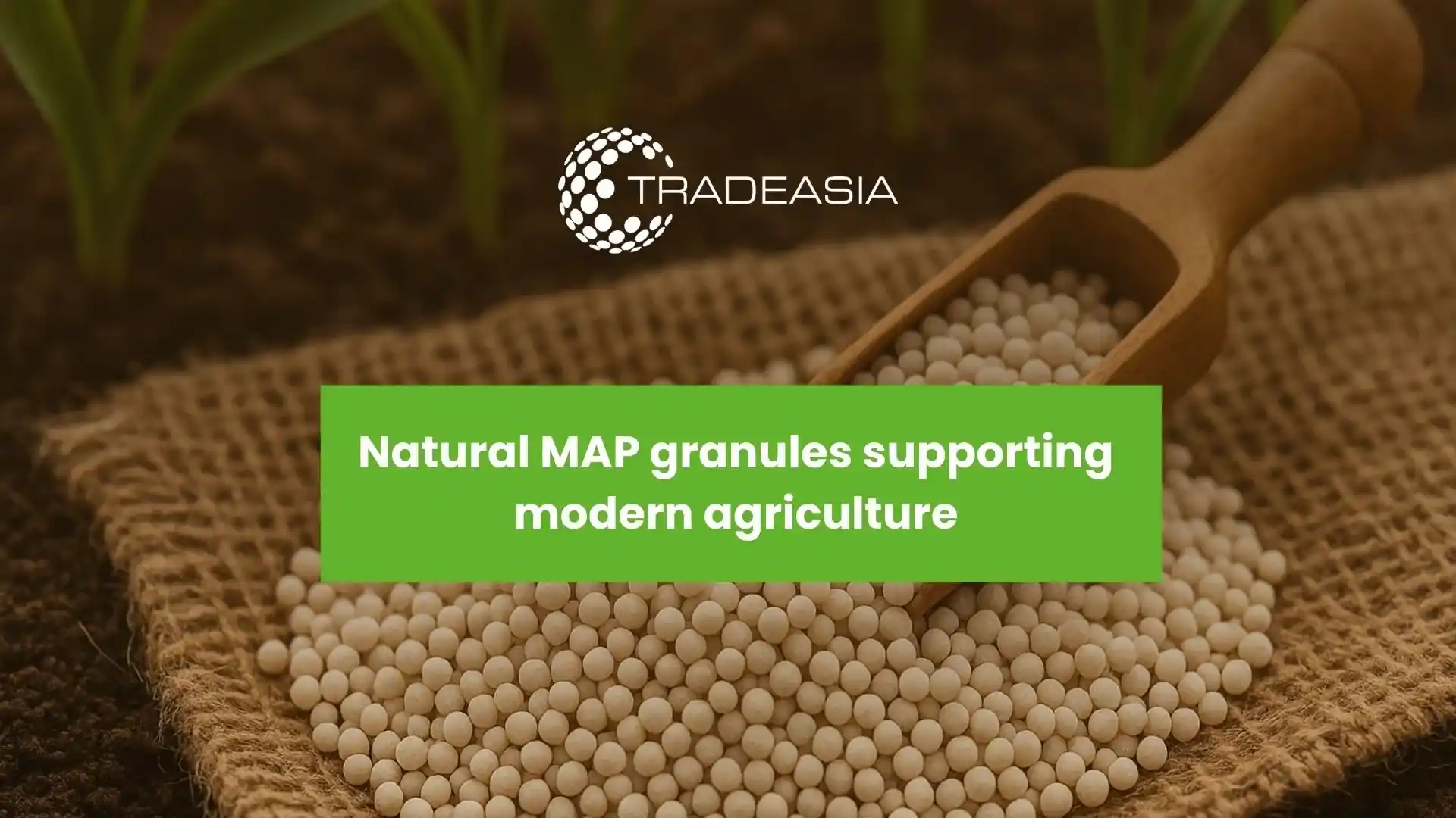 Monoammonium Phosphate: The Essential Fertilizer for Modern Agriculture
