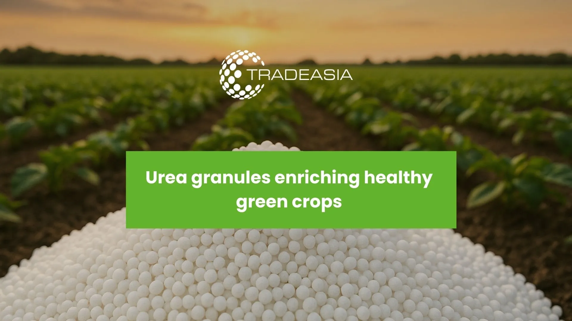 Urea as an Essential Nitrogen Fertilizer for Global Agriculture