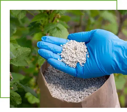 Nitrogen Fertilizer