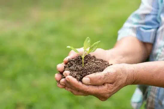 Nitrogen Fertilizer Chemistry: Understanding the Differences Between Urea, AN, UAN, and Ammonia