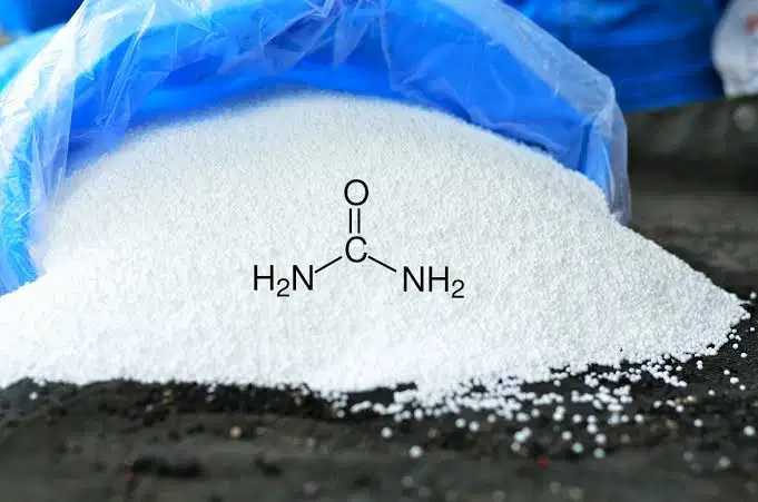 Potassium Fertilizer Forms: MOP, SOP, and Langbeinite—When Chloride Matters