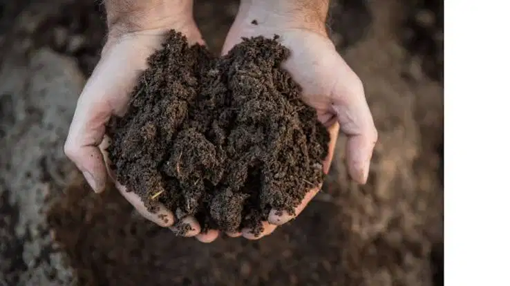 Biosolids as Fertilizer: Why Nearly 60% of Sewage Sludge Still Gets Land-Applied