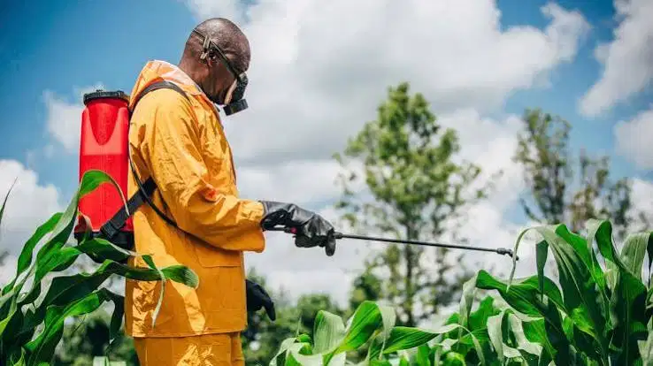Mining Waste Metals Recovery: A New Circular Feedstock for Micronutrient Fertilizers?