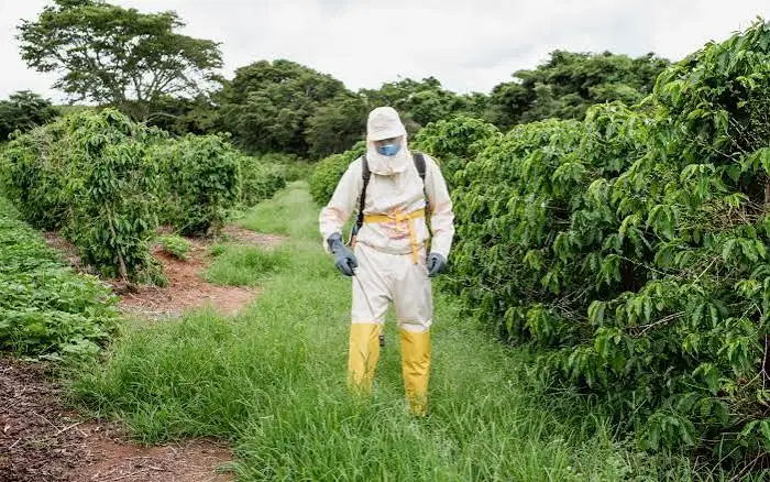 Reading the Global Chemical Downcycle's Impact on Agrochemical Capital Spending